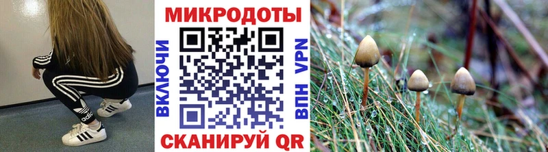 Галлюциногенные грибы GOLDEN TEACHER  Иноземцево 